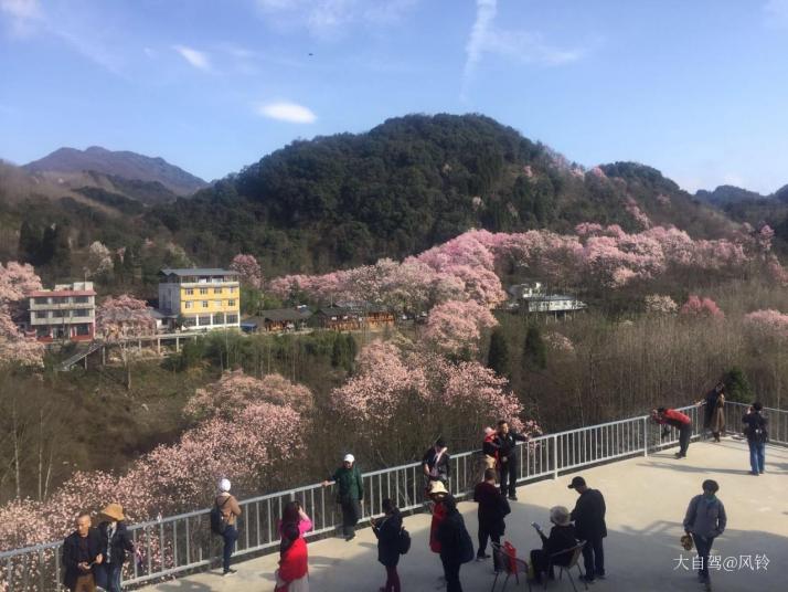 景自驾游/九皇山花溪景地址在哪里/九皇山花溪景门票多少钱-大自驾网