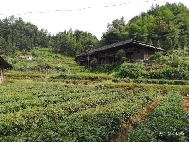 安化茶馬古道風(fēng)景區(qū)圖片