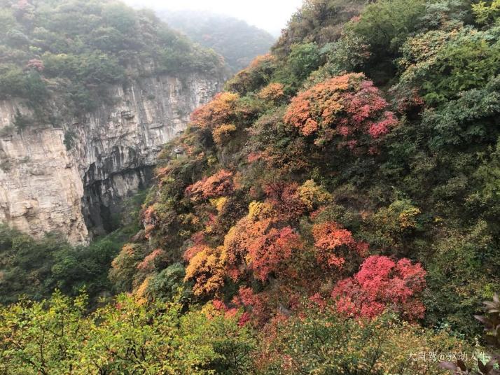青州泰和山黄花溪图片