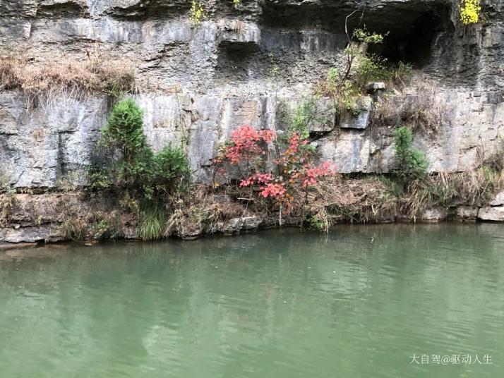 青州泰和山黄花溪