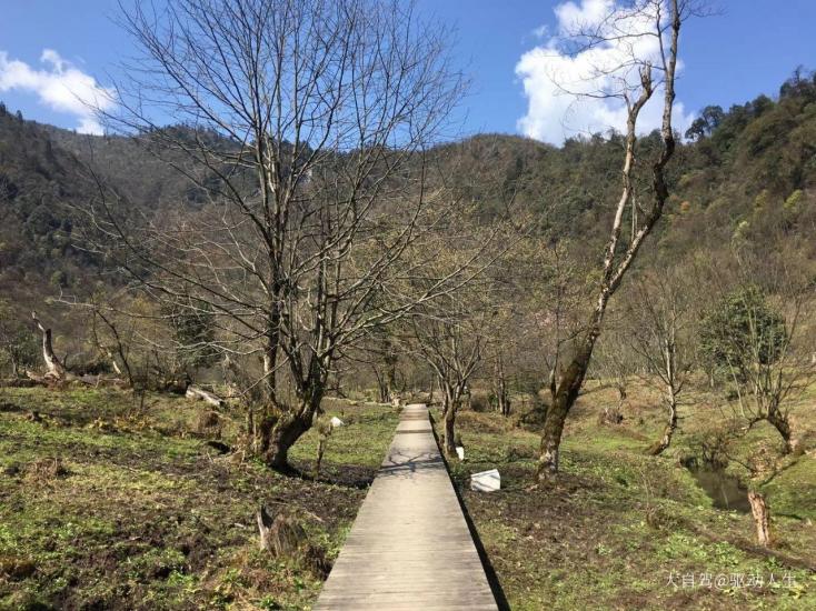 成都出发黑竹沟3日自驾:神秘黑竹沟-沐川竹海-金口河峡谷3日自驾游