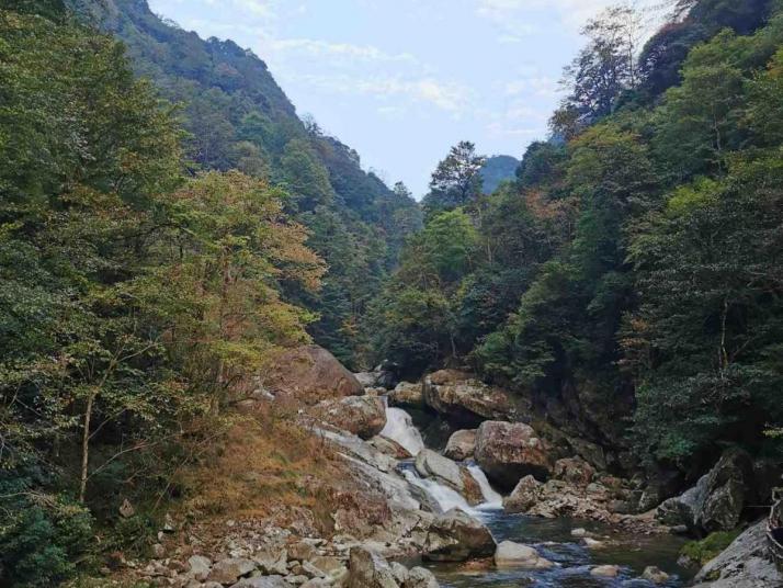 炎陵神農(nóng)谷國家森林公園圖片