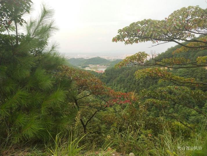 茶陵云阳山好玩吗