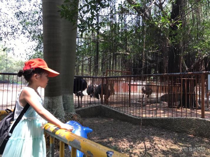 南寧南寧動(dòng)物園圖片