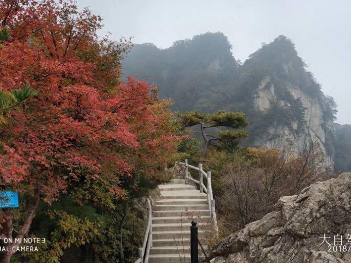 蓝田王顺山国家森林公园图片