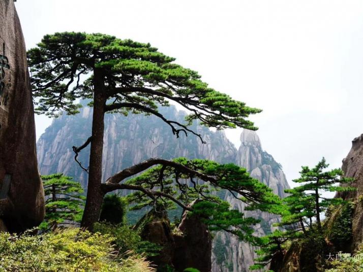 黄山黄山风景区