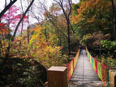 五女峰國(guó)家森林公園自駕游