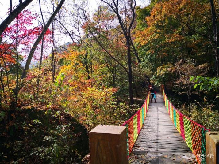 集安五女峰國(guó)家森林公園