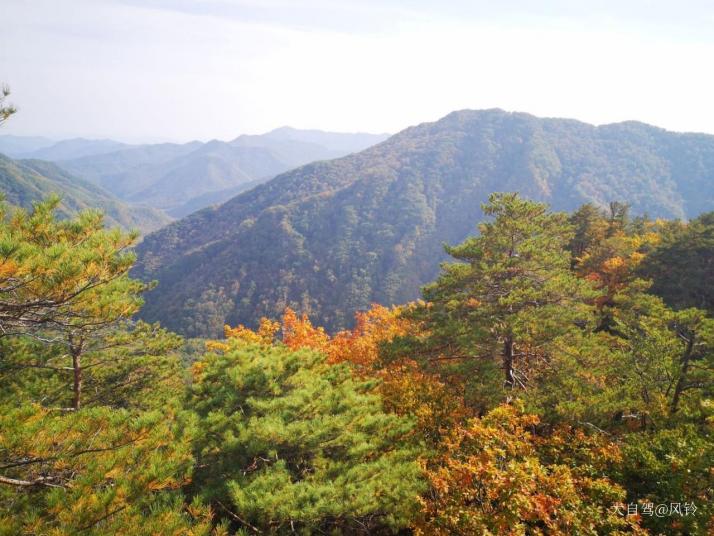 集安五女峰國(guó)家森林公園圖片
