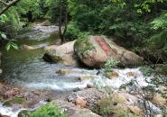 五女峰國(guó)家森林公園自駕游