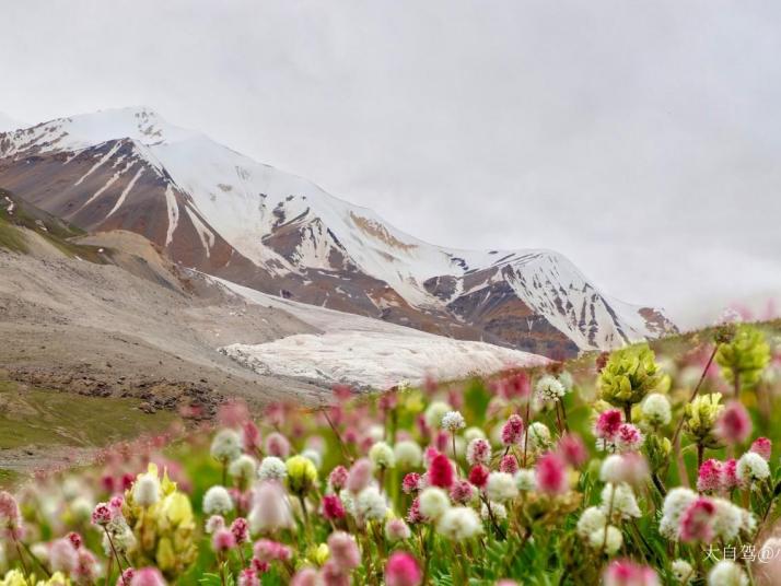 玛沁阿尼玛卿山