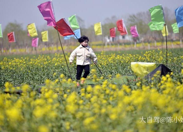 封丘陈桥湿地公园