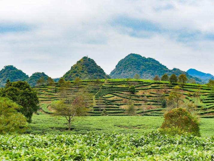 英德积庆里红茶谷好玩吗