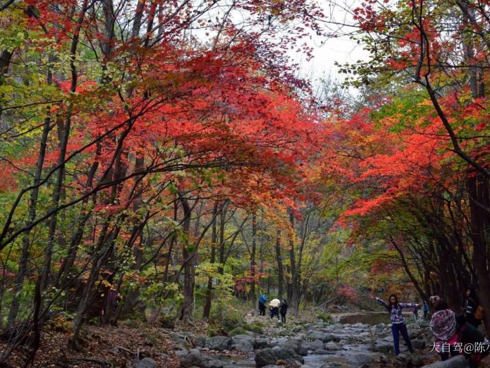 本溪關(guān)門山國家森林公園圖片