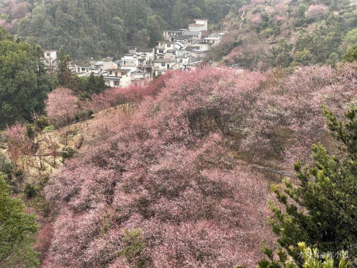 歙县卖花渔村