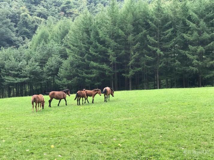 广元曾家山景区图片