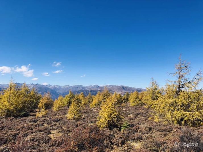 稻城俄初山