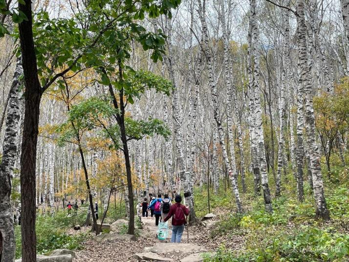 懷柔喇叭溝原始森林公園好玩嗎