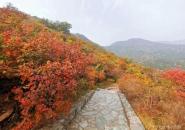 香山公園自駕游