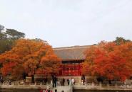 香山公園自駕游