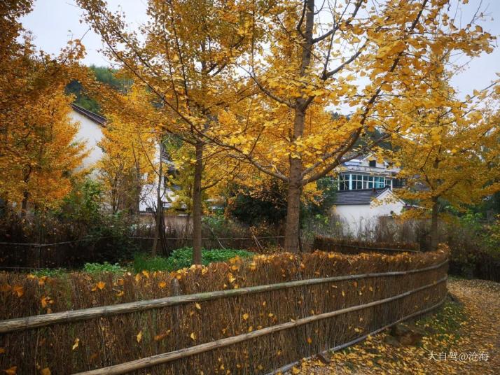 长兴八都岕景区