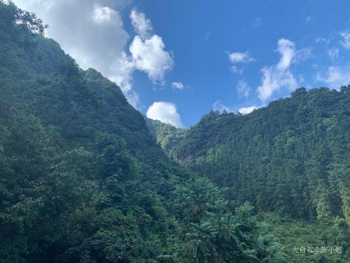 武岡云山國家森林公園圖片