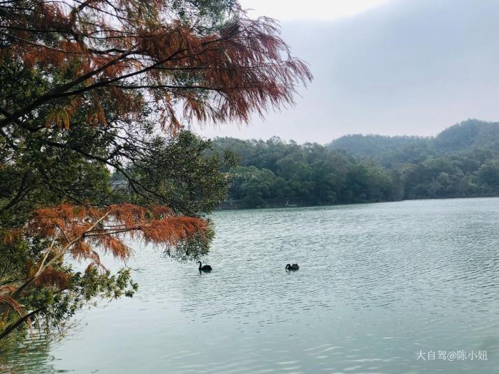 江門圭峰山國家森林公園好玩嗎