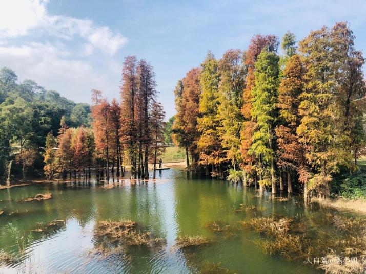 江門圭峰山國家森林公園圖片