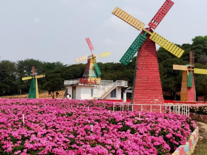 東莞夢(mèng)幻百花洲主題景區(qū)圖片