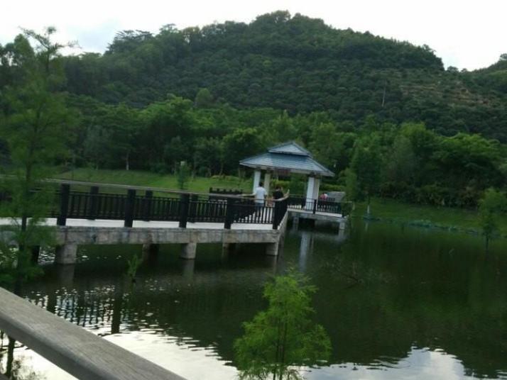 東莞虎門石洞森林公園