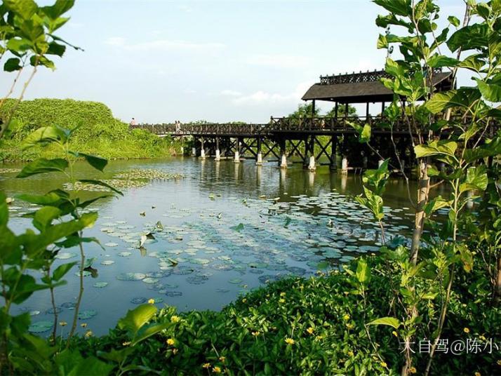 深圳海上田园旅游区图片