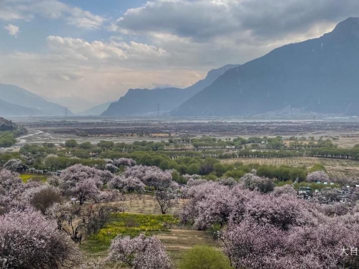 林芝嘎拉桃花村