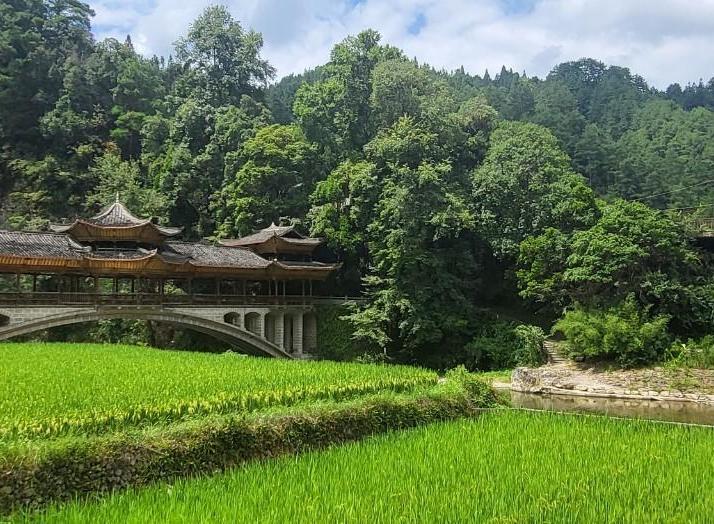 雷山郎德苗寨好玩吗