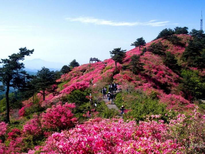 麻城龟峰山景区好玩吗