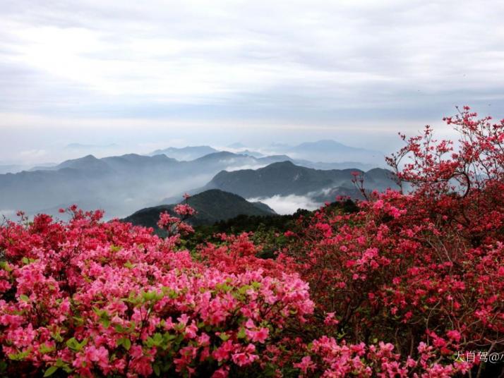 麻城龟峰山景区图片