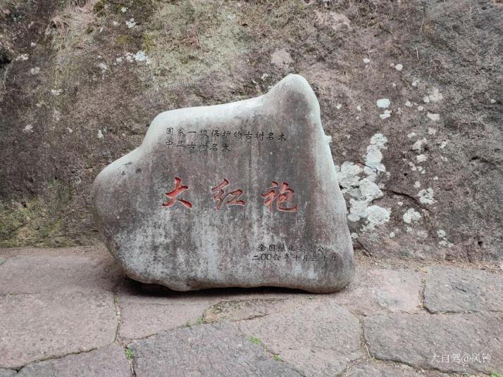 武夷山武夷山大红袍景区