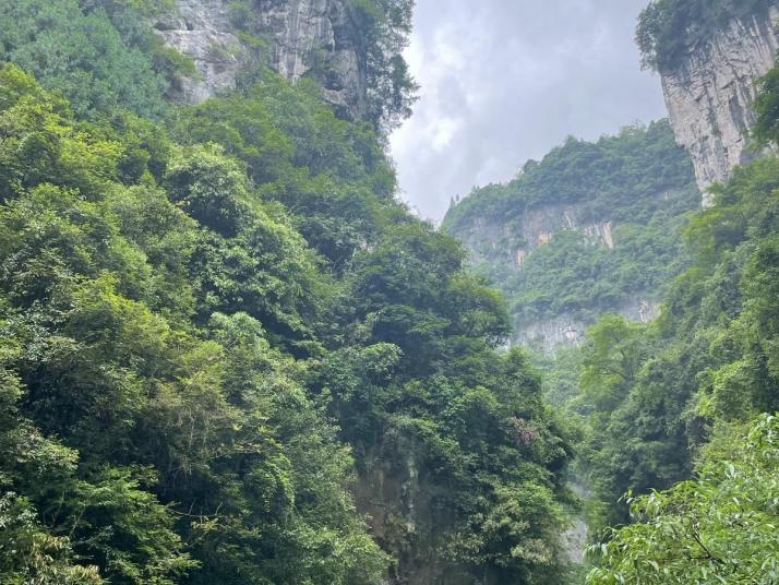 武隆龙水峡