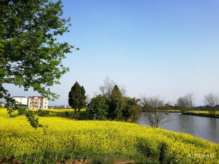 潼南潼南油菜花好玩吗