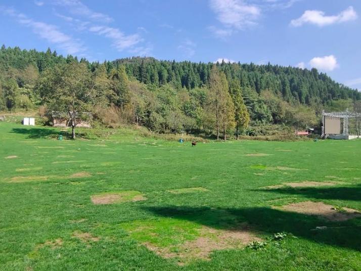 重慶武陵山國家森林公園圖片