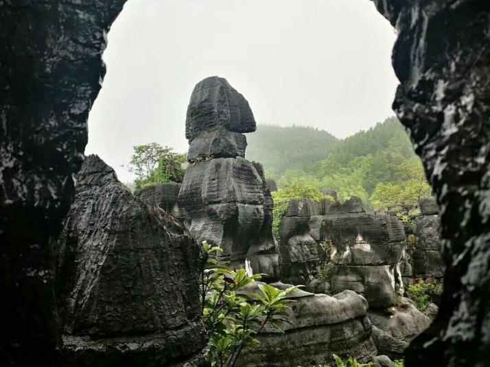 重庆南天龙鳞石海图片