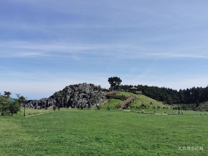 重慶重慶千野草場景區(qū)圖片