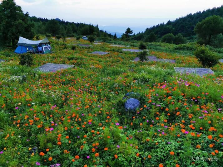 重慶重慶千野草場景區(qū)好玩嗎