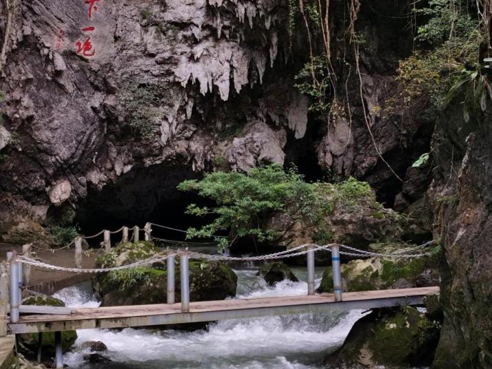 靖西古龍山大峽谷