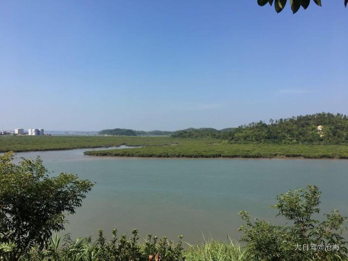 欽州仙島公園好玩嗎