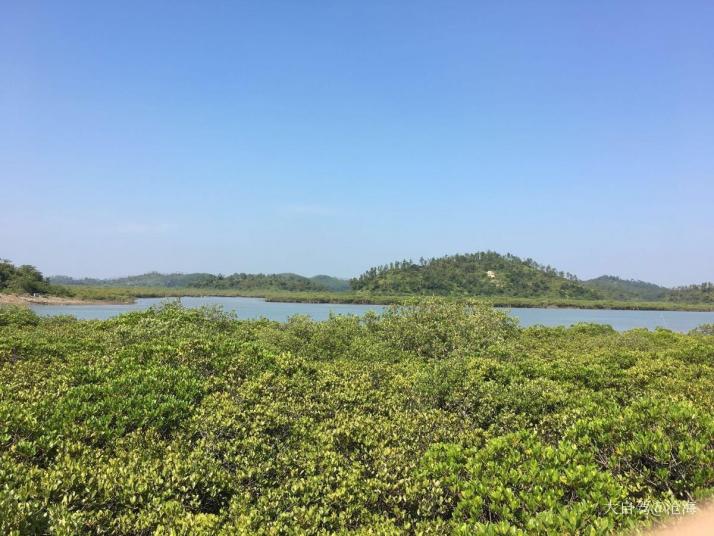 欽州仙島公園圖片