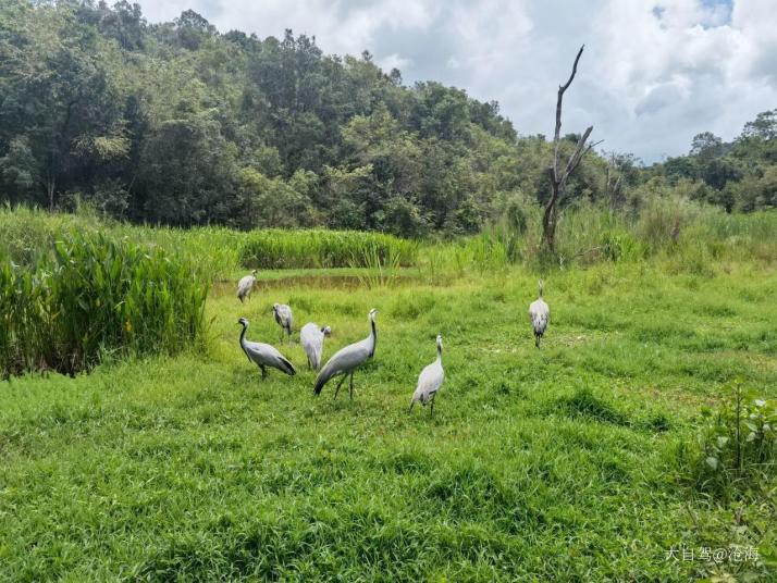 普洱太陽(yáng)河國(guó)家森林公園好玩嗎