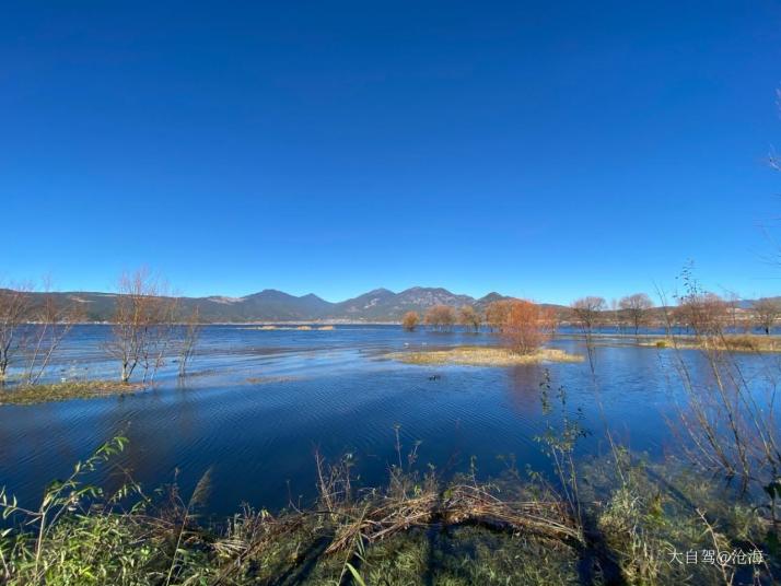 麗江拉市海濕地