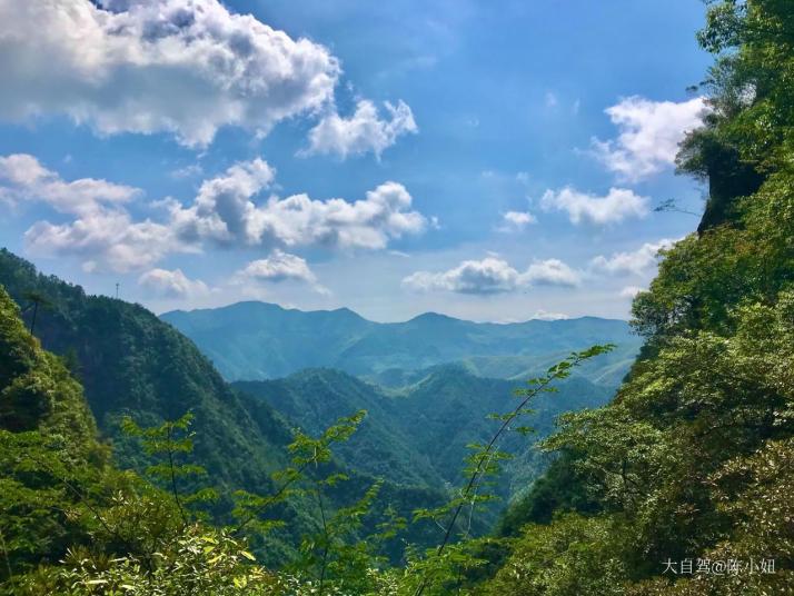 麗水神龍谷景區(qū)好玩嗎