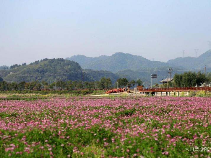 浦江通濟(jì)湖景區(qū)圖片