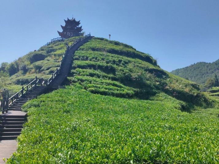 宣恩伍家臺(tái)村好玩嗎